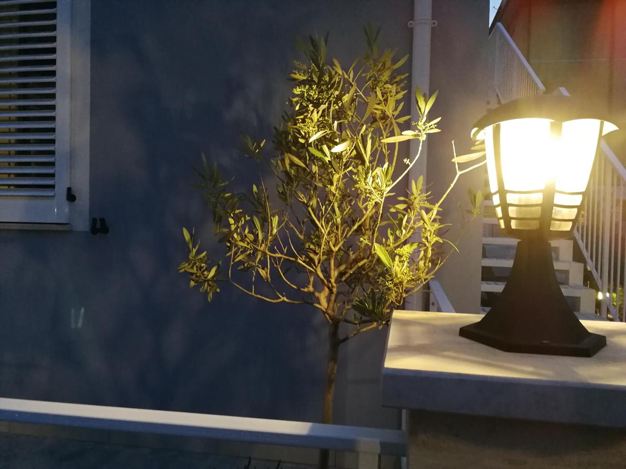 Alcivico3 Bed and Breakfast Civitanova Marche Eksteriør billede